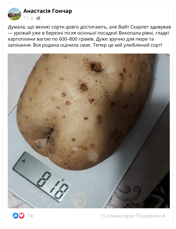 Заголовок
