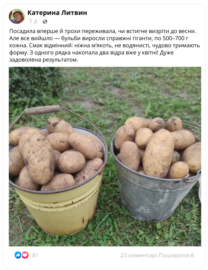 Заголовок