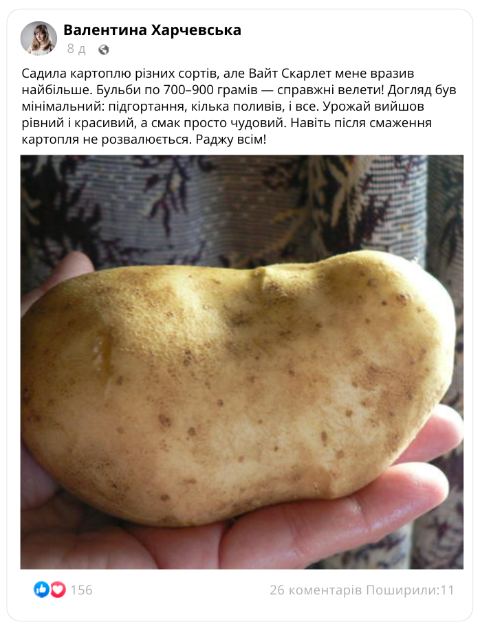 Заголовок