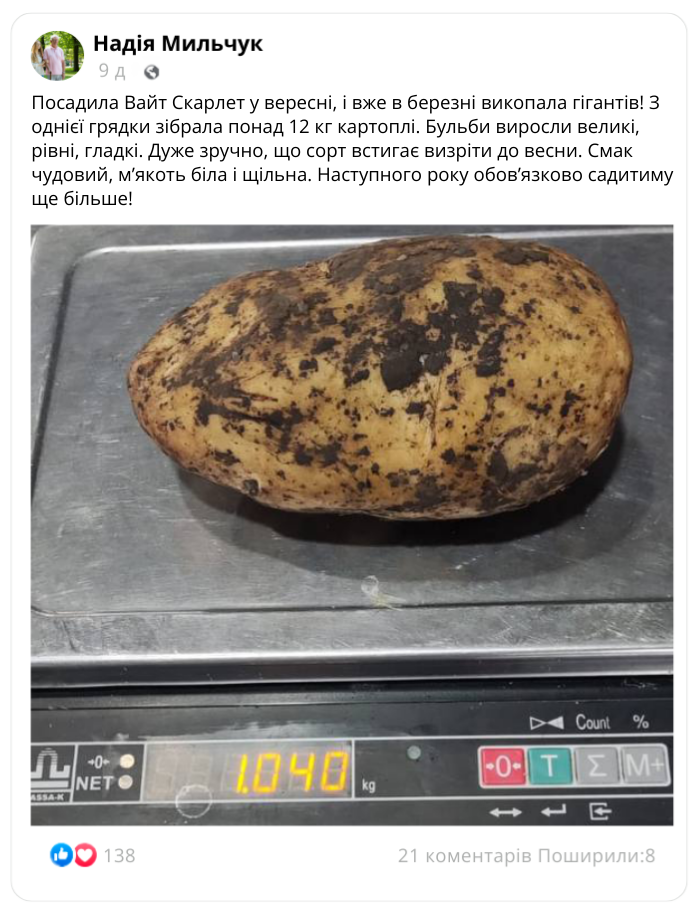 Заголовок