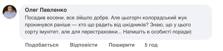 Заголовок