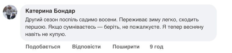 Заголовок