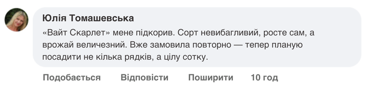 Заголовок