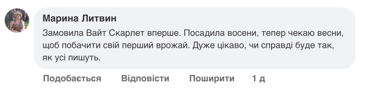 Заголовок
