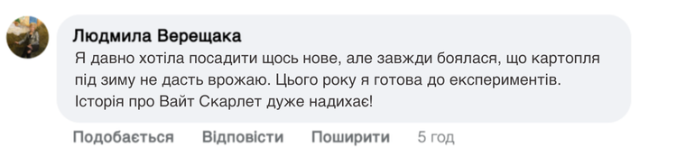 Заголовок